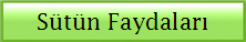 Stn Faydalar