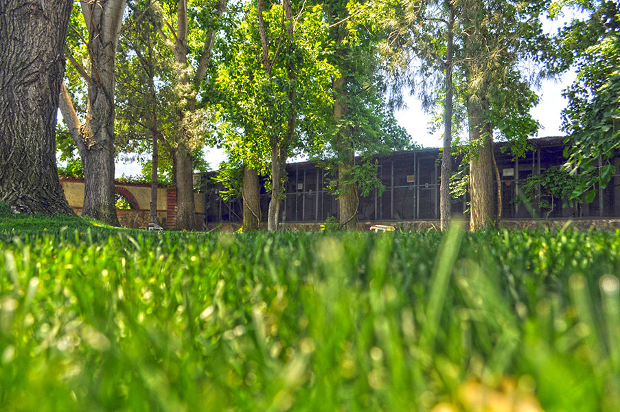 dsc_0038